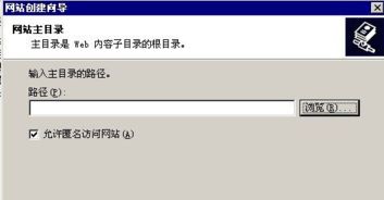 IIS完整安裝包下載指南 Windows版互聯(lián)網(wǎng)信息服務(wù)的獲取與安裝